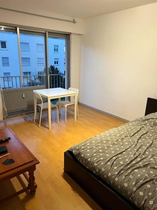 Studio A 2 Minutes De La Gare Apartman Mulhouse Kültér fotó